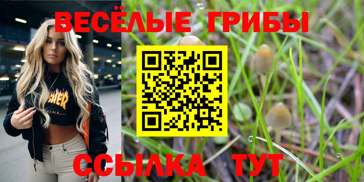 Галлюциногенные грибы Cubensis  Вход с VPN  Псилоцибиновые грибы прущие грибы  Ярославль 